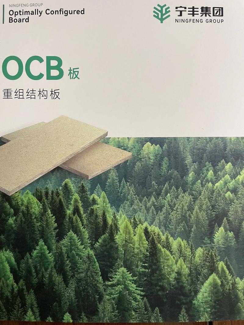 绿色设计之选 生态环境材料与环保板材十大品牌全解析